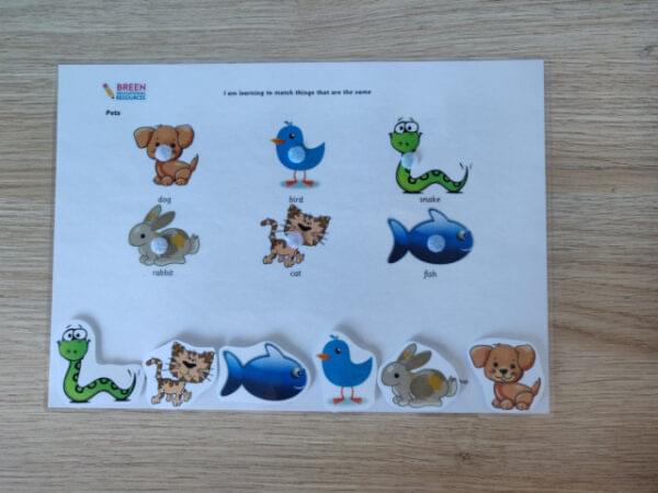 I am learning to match the same - pets, jungle animals, sea animals, jobs, instruments